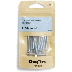 Discount Gifi 12 boulons tête fraisée acier zingué - 4x40 mm