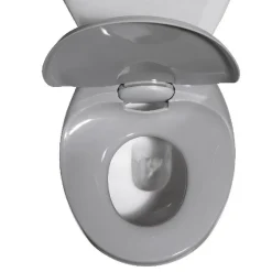 Online Gifi Abattant WC 2 en 1 gris