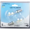 Hot Gifi Ampoule LED à filament G45 lumière chaude 2,5W x2