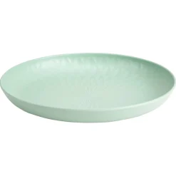 Assiette plate en plastique^Gifi Hot