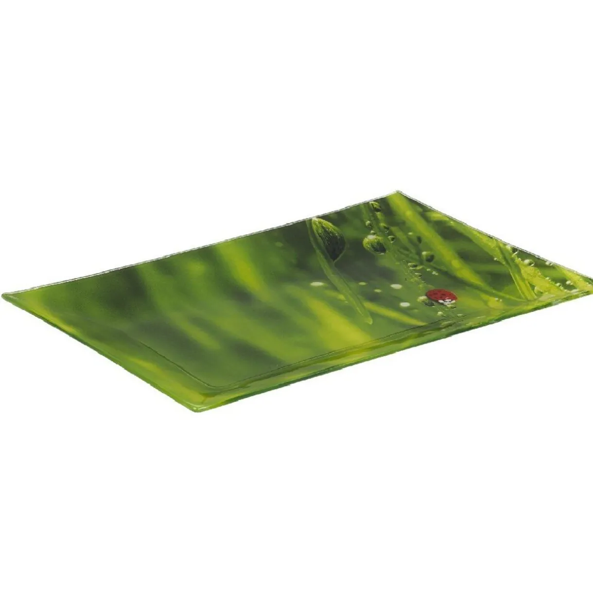 Assiette plate rectangulaire verte design coccinelle^Gifi Online