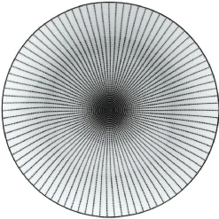 Assiette plate ronde blanche rayon noir^Gifi Hot