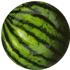 Assiette plate ronde imprimée pastèque^Gifi Best