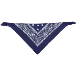 Hot Gifi Bandana motif paisley coloré 100% coton 53x53cm