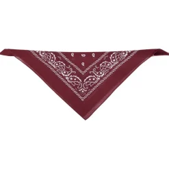 Hot Gifi Bandana motif paisley coloré 100% coton 53x53cm