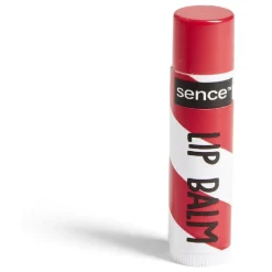 Discount Gifi Baume à lèvres design Noël 3,5g - 4 modèles