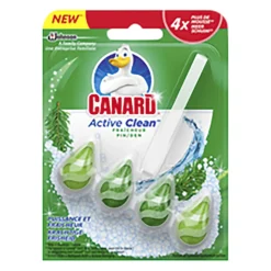 Nettoyage Et Entretien|Gifi Bloc WC Canard Active Clean Pin puissance et fraîcheur x2