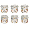 Bocal à conserve avec fermeture à clapet 350 ml x 6^Gifi Discount