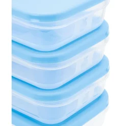 Boîte alimentaire couvercle bleu^Gifi Clearance