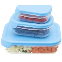 Boîte alimentaire couvercle bleu^Gifi Clearance