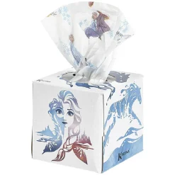Hot Gifi Boîte de 56 mouchoirs Frozen2