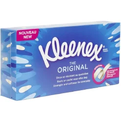 Discount Gifi Boîte de 70 mouchoirs blancs Kleenex