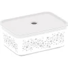 Rangement|Gifi Boîte de rangement avec couvercle design floral 3 L