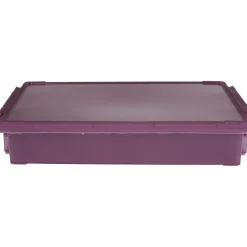 Rangement|Gifi Boîte de rangement avec fermeture à clip violet 4 L