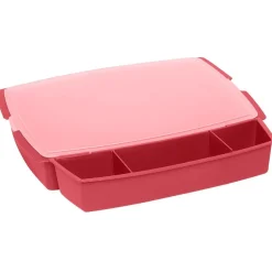 Boîte plastique spécial barbecue x2^Gifi Hot