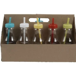 Bouteille en plastique avec paille colorée x10^Gifi Discount