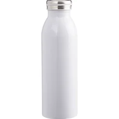 Bouteille isotherme inox uni 500 ml^Gifi Outlet