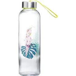 Bouteille transport en verre^Gifi Discount