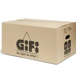 Rangement|Gifi Carton déménagement premium 72L