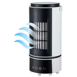 Clearance Gifi Chauffage rafraîchisseur d'air 2 en 1 800W noir