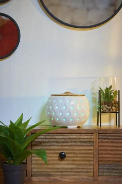 Discount Gifi Diffuseur d'huiles essentielles ultrasonique Mességué 200 ml