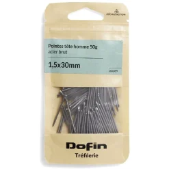 Discount Gifi 50g pointes tête homme acier brut - 1,5x30 mm