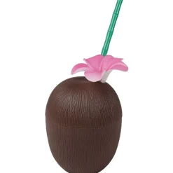 Gourde plastique et paille noix de coco^Gifi Online