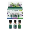 Gifi Huile essentielle énergie bio sportif x3