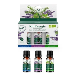 Gifi Huile essentielle énergie bio sportif x3