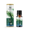 Gifi Huile essentielle tea tree bio