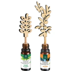 Discount Gifi Kit diffuseur Mességué stick huiles essentielles Synergie x2