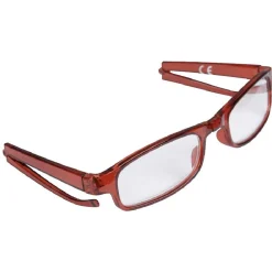 Discount Gifi Lunettes de lecture pliables avec étui