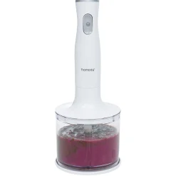 Mixeur plongeur Homday 2en1 200W^Gifi Best