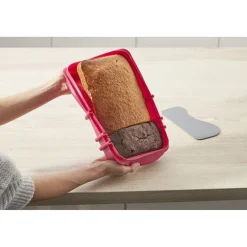 Moule silicone avec séparateur^Gifi Sale