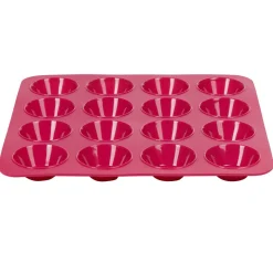 Moule silicone rose 16 petits fours^Gifi Discount