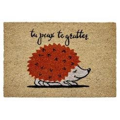 Nettoyage Et Entretien|Gifi Paillasson coco rectangulaire hérisson tu peux te gratter