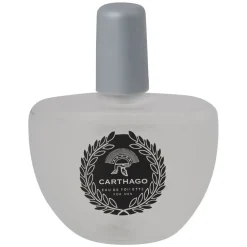 Best Gifi Parfum 100ML