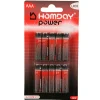 Best Gifi Pile Alcaline Homday Power LR03 type AAA x10