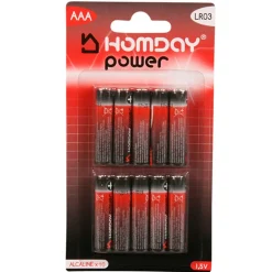 Best Gifi Pile Alcaline Homday Power LR03 type AAA x10