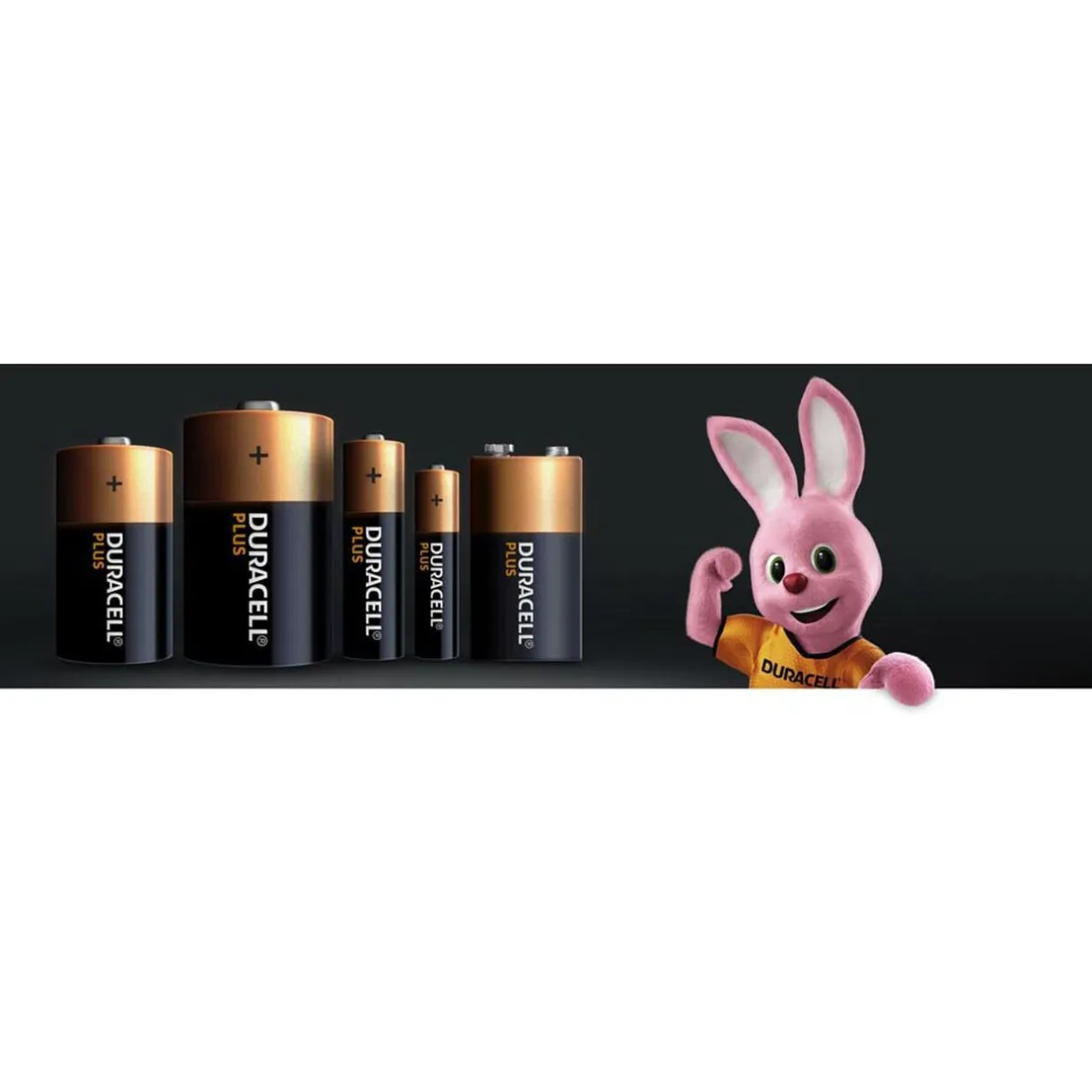 Discount Gifi Pile Duracell Plus alcaline 9 Volts 6LR61