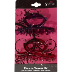 Discount Gifi PINCES A CHEVEUX