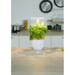 Potager d'intérieur à éclairage led CECOA^Gifi Clearance