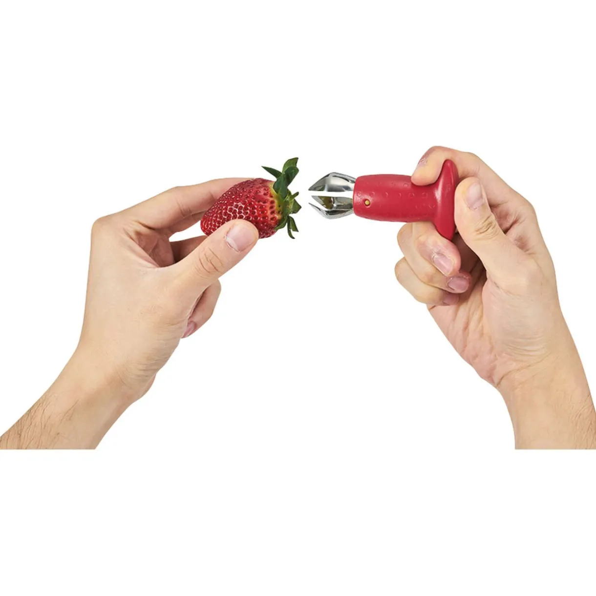 Équeuteur à fraises inox^Gifi Clearance