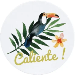 Sous verre design tropical x6^Gifi Online