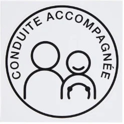Clearance Gifi Sticker voiture jeune conducteur