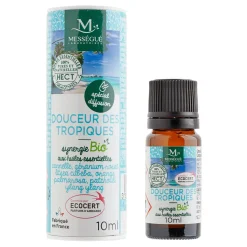 Hot Gifi Synergie d'huiles essentielles Éveil 10ml