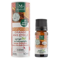 Best Gifi Synergie d'huiles essentielles bio 10 ml