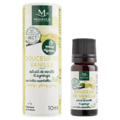 Discount Gifi Synergie d'huiles essentielles bio 10 ml