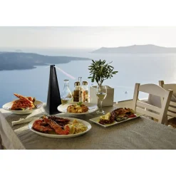 Online Gifi Ventilateur antimouche