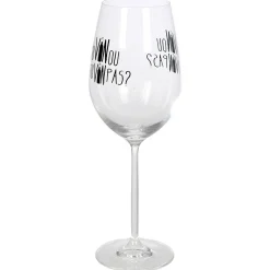 Verre à vin XL sur pied inscription Tu vin ou tu vin pas ? 75 cl^Gifi Online